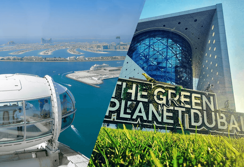 عين دبي + الكوكب الأخضر - AIN Dubai tickets combo offer