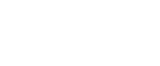AIN Dubai