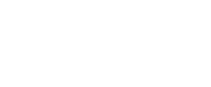 AIN Dubai Logo