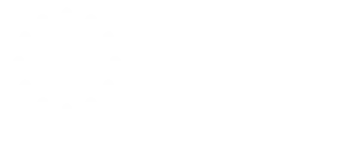 AIN Dubai Logo